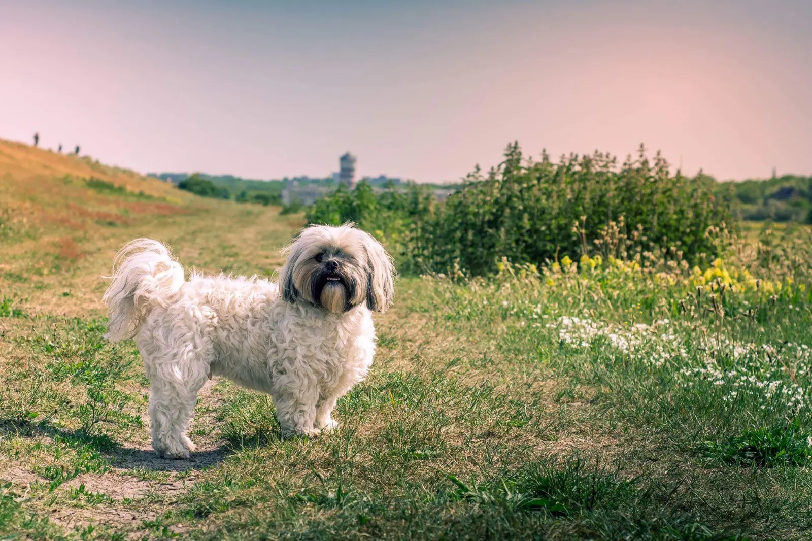 Foto-impressie van reviews en praktijkmomenten