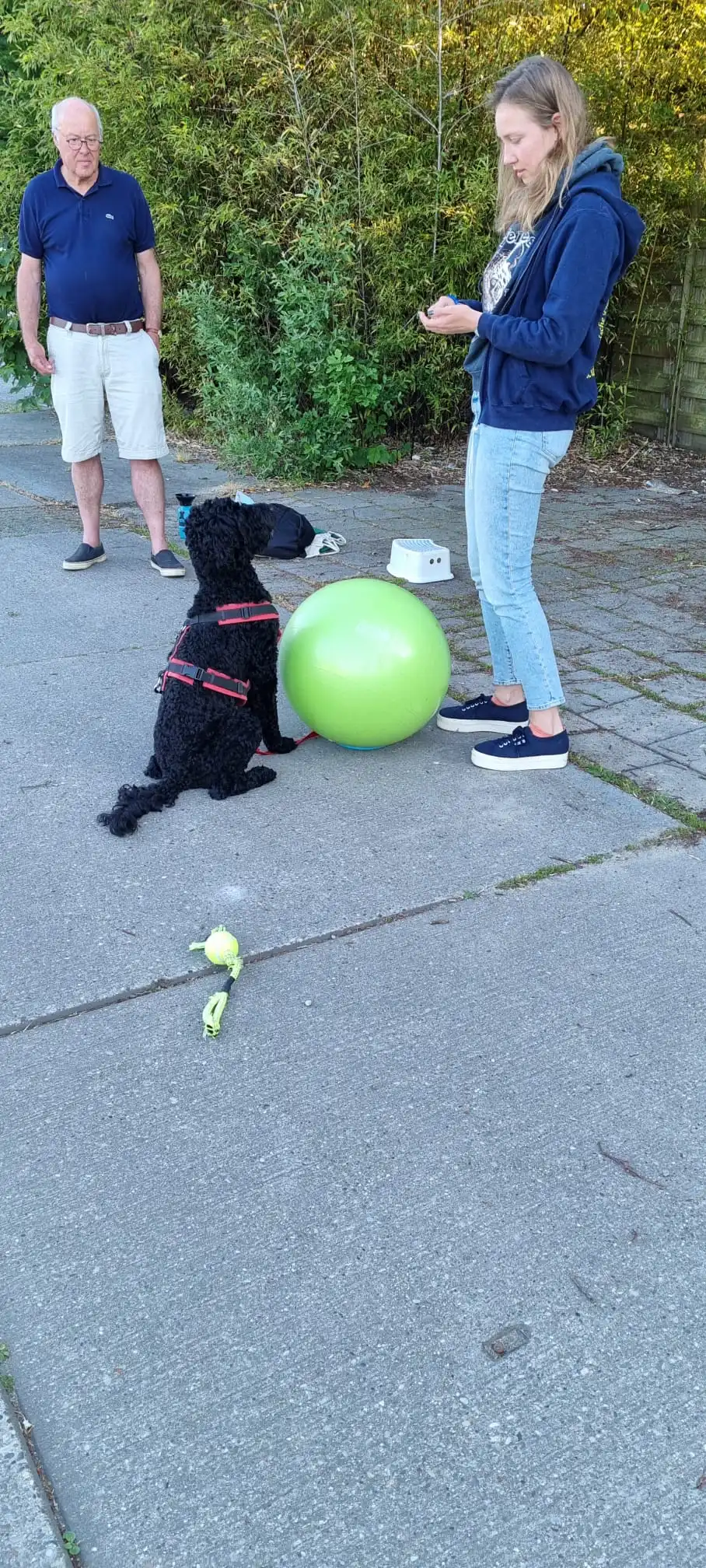 Reviewfoto 1 van ChiCa Hondenschool