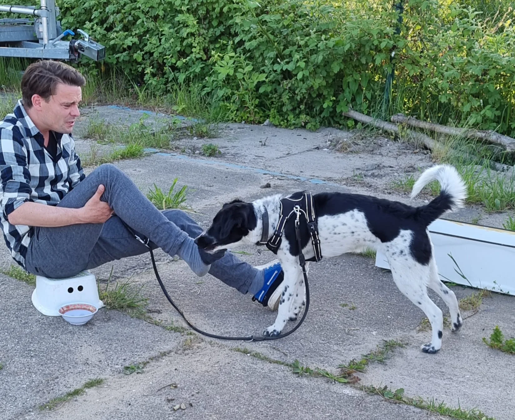 Reviewfoto 12 van ChiCa Hondenschool