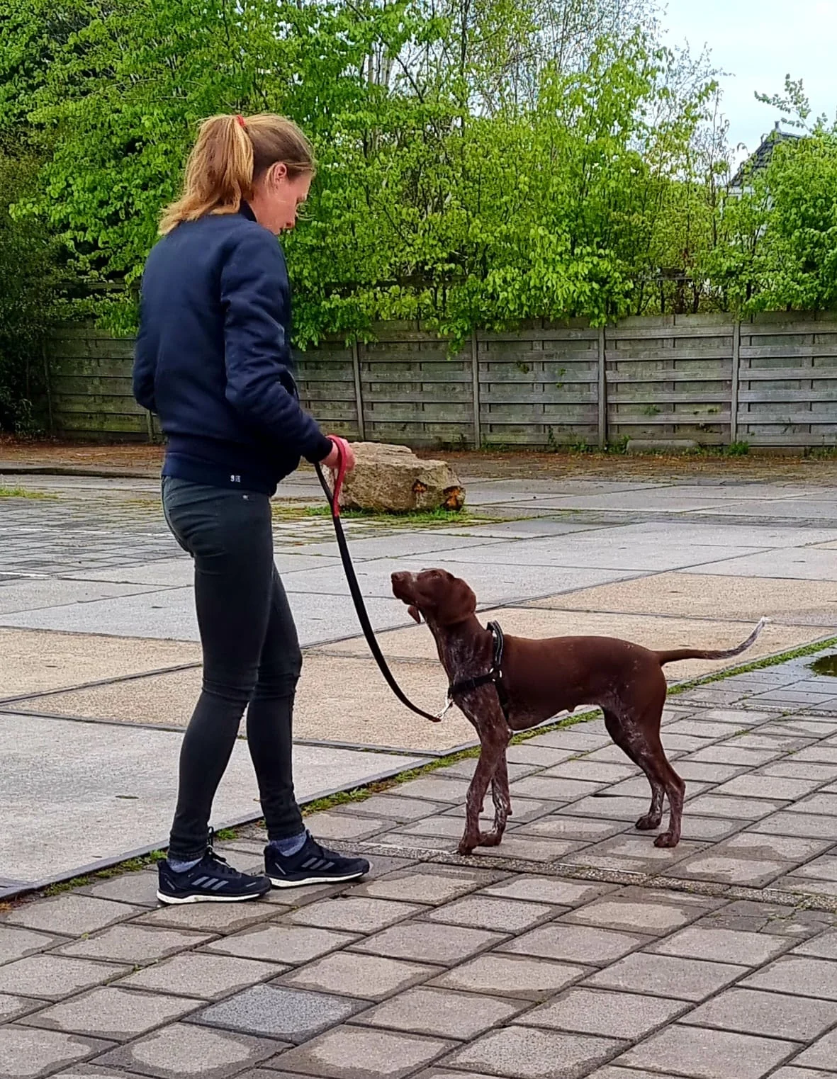 Reviewfoto 14 van ChiCa Hondenschool