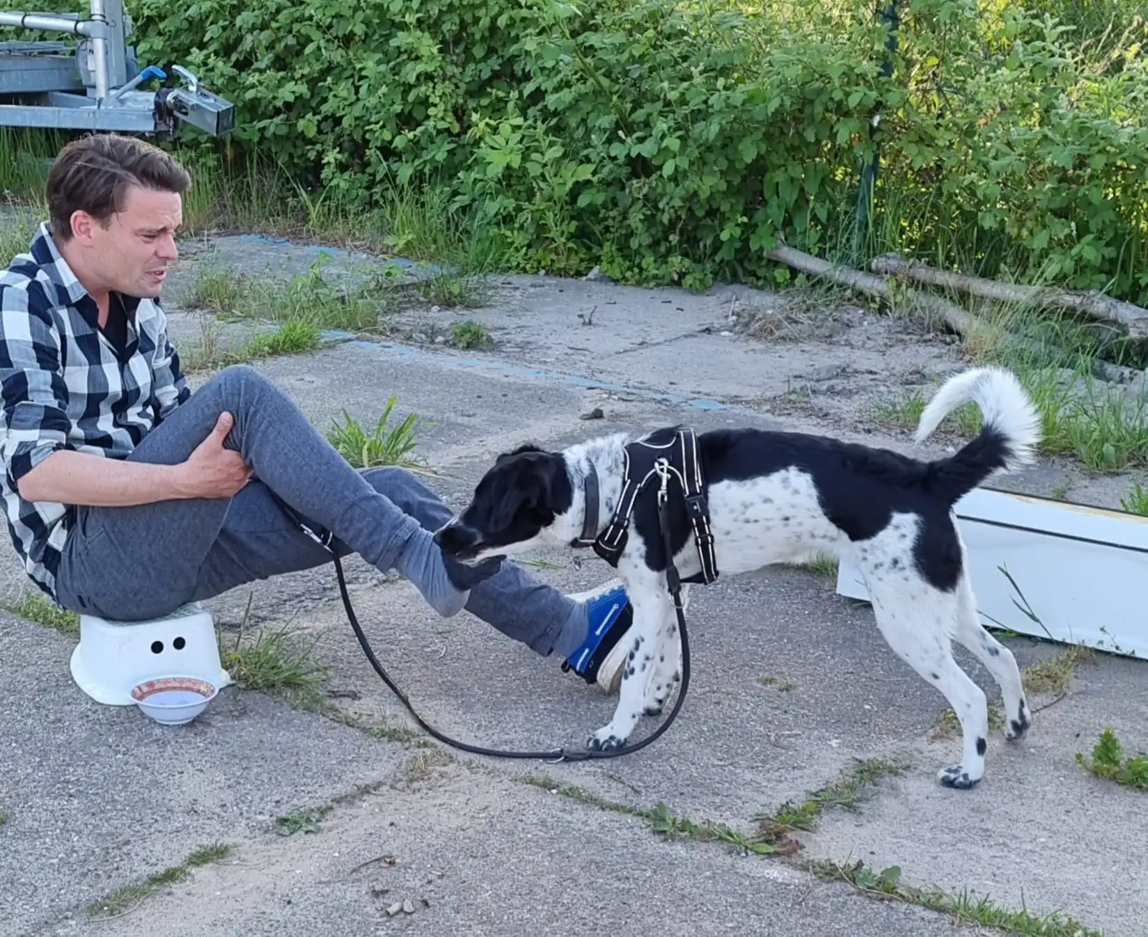 Reviewfoto 2 van ChiCa Hondenschool