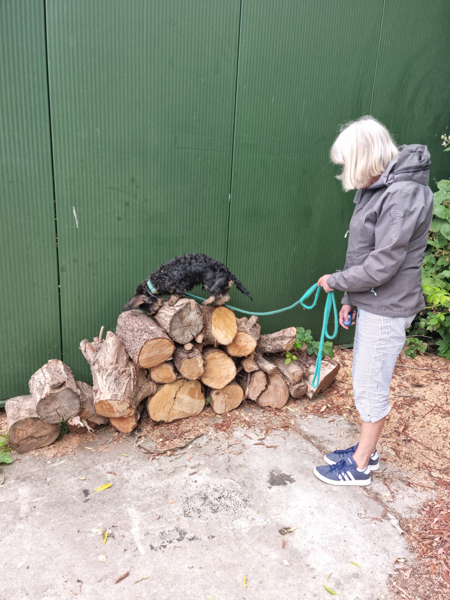 Reviewfoto 8 van ChiCa Hondenschool