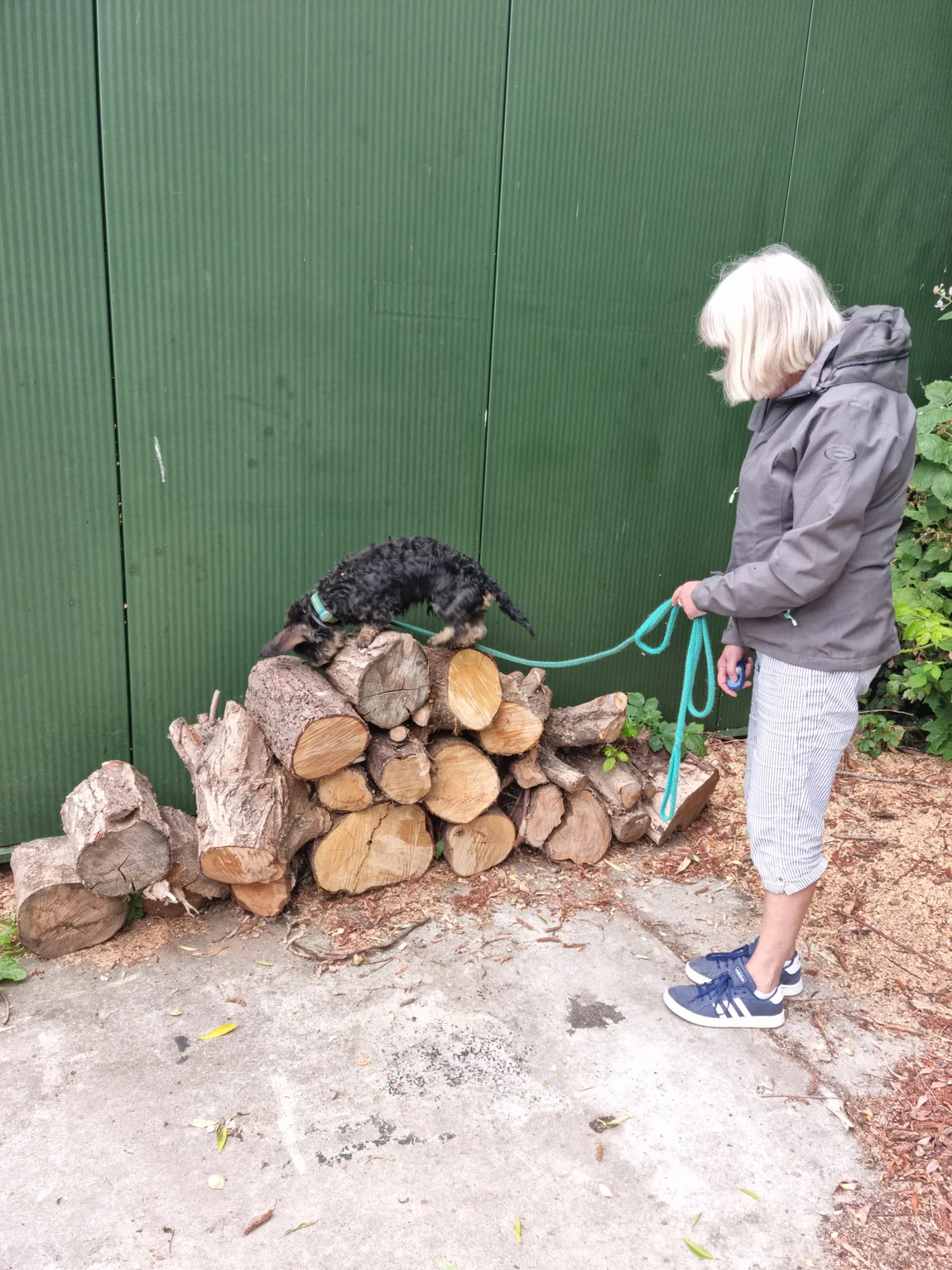 Reviewfoto 8 van ChiCa Hondenschool