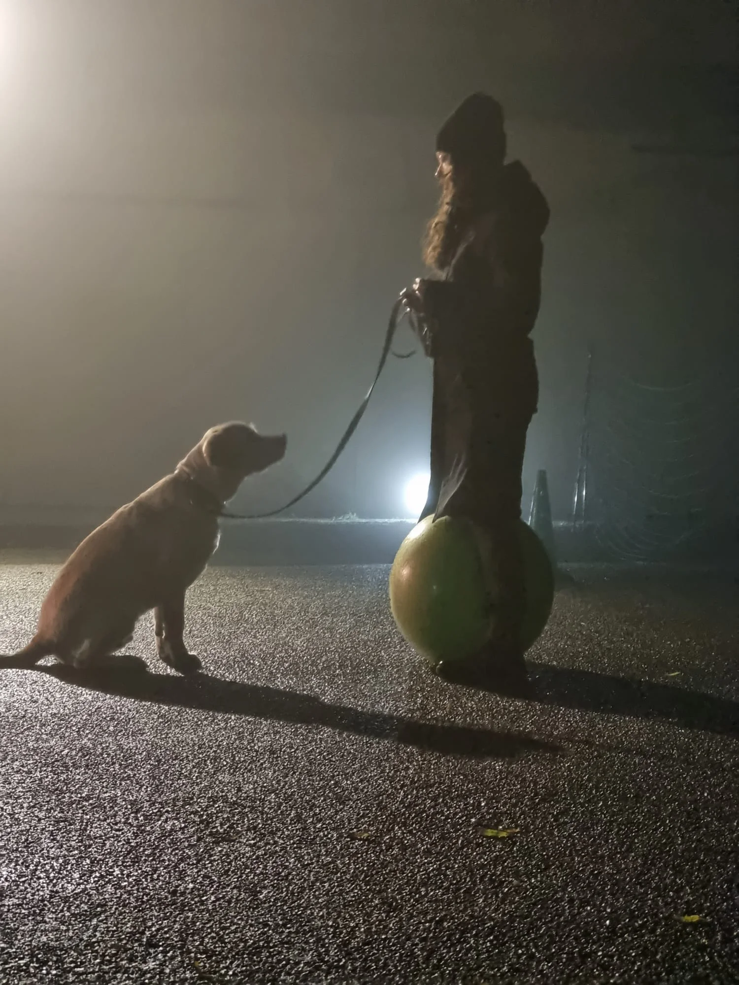 Reviewfoto 9 van ChiCa Hondenschool