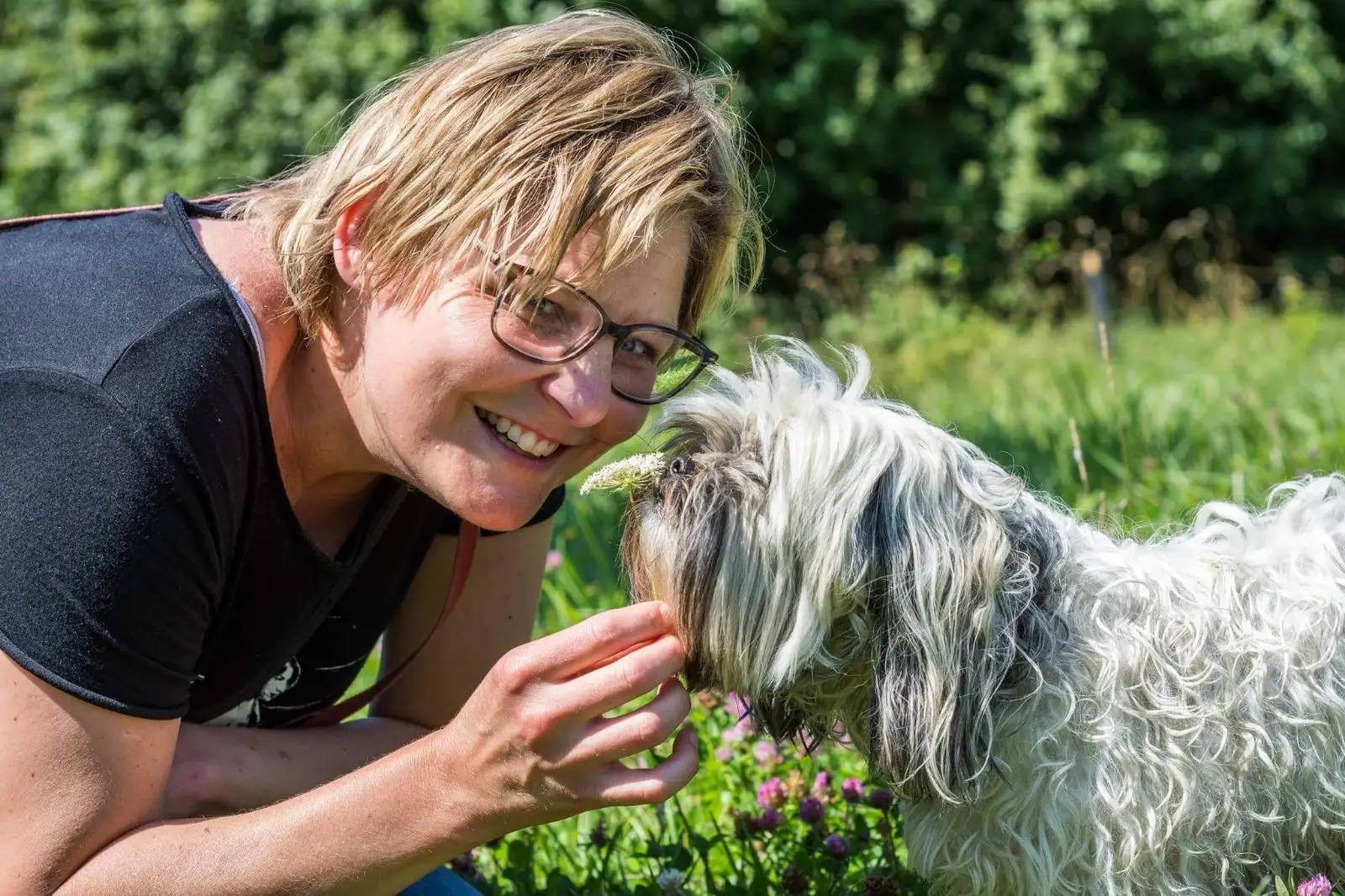 Kennismaking voor oppas- en uitlaatservice